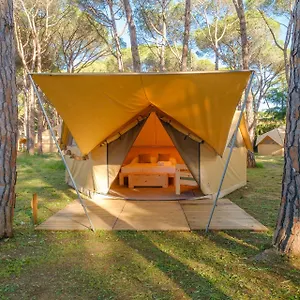 https://camping-pla-de-la-torre.topcostabravahotels.com